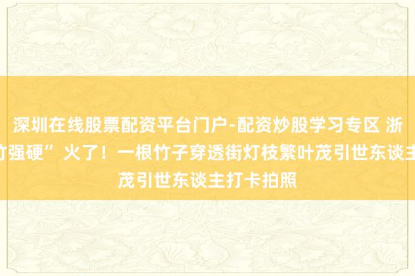 深圳在线股票配资平台门户-配资炒股学习专区 浙江绍兴“竹强硬” 火了！一根竹子穿透街灯枝繁叶茂引世东谈主打卡拍照