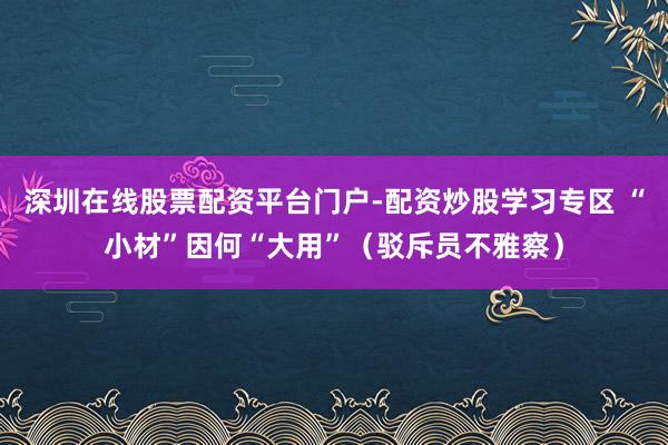 深圳在线股票配资平台门户-配资炒股学习专区 “小材”因何“大用”（驳斥员不雅察）