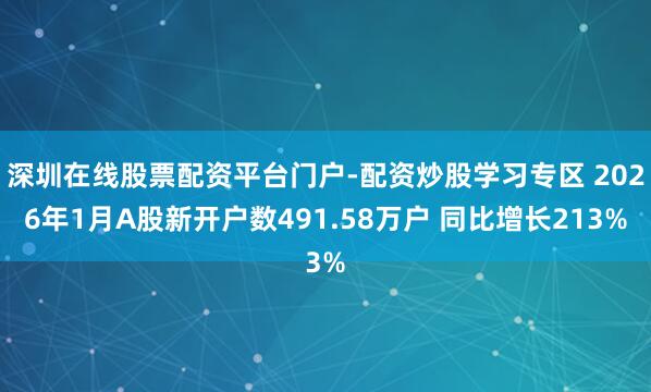 深圳在线股票配资平台门户-配资炒股学习专区 2026年1月A股新开户数491.58万户 同比增长213%