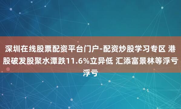 深圳在线股票配资平台门户-配资炒股学习专区 港股破发股聚水潭跌11.6%立异低 汇添富景林等浮亏