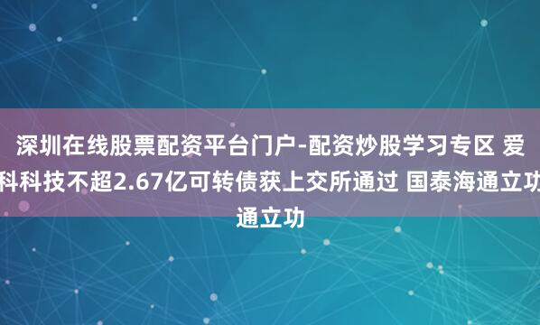 深圳在线股票配资平台门户-配资炒股学习专区 爱科科技不超2.67亿可转债获上交所通过 国泰海通立功