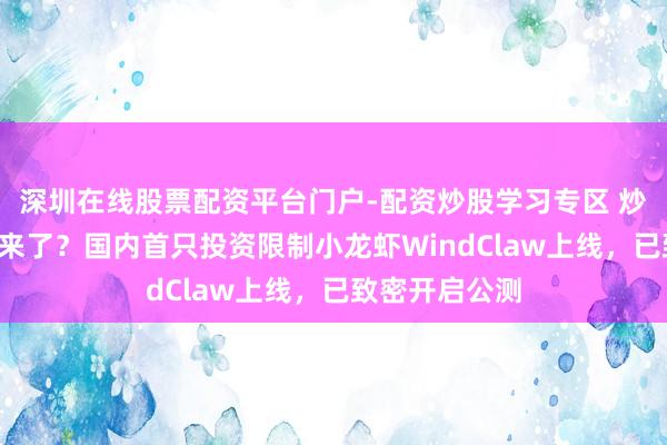 深圳在线股票配资平台门户-配资炒股学习专区 炒股“小龙虾”来了？国内首只投资限制小龙虾WindClaw上线，已致密开启公测