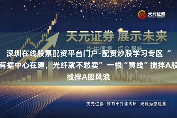 深圳在线股票配资平台门户-配资炒股学习专区 “惟罕有据中心在建，光纤就不愁卖” 一根“黄线”搅拌A股风浪